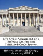 Life Cycle Assessment of a Biomass Gasification Combined-Cycle System