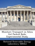 Moisture Transport in Silica Gel Packed Beds