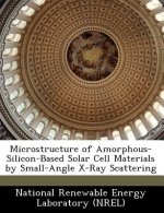 Microstructure of Amorphous-Silicon-Based Solar Cell Materials by Small-Angle X-Ray Scattering