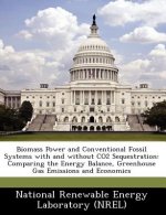 Biomass Power and Conventional Fossil Systems with and Without Co2 Sequestration