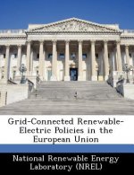 Grid-Connected Renewable-Electric Policies in the European Union