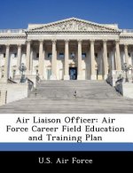 Air Liaison Officer
