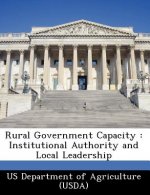 Rural Government Capacity