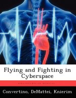 Flying and Fighting in Cyberspace