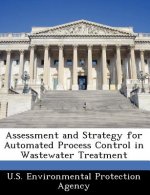 Assessment and Strategy for Automated Process Control in Wastewater Treatment