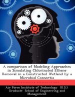 Comparison of Modeling Approaches in Simulating Chlorinated Ethene Removal in a Constructed Wetland by a Microbial Consortia