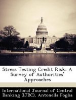 Stress Testing Credit Risk