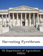 Harvesting Pyrethrum