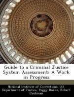Guide to a Criminal Justice System Assessment