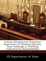 Critical Infrastructure Protection