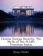 Chinese Energy Security
