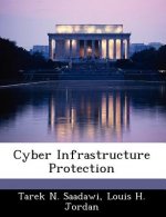 Cyber Infrastructure Protection