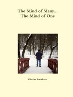 Mind of Many The Mind of One