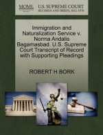 Immigration and Naturalization Service V. Norma Andalis Bagamasbad. U.S. Supreme Court Transcript of Record with Supporting Pleadings