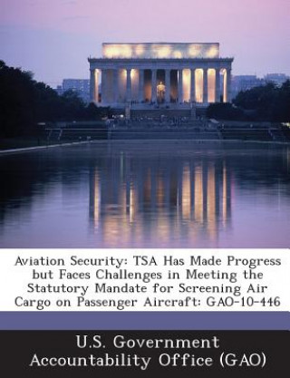 Aviation Security