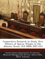 Cooperative Research to Study Dive Patters of Sperm Whales in the Atlantic Ocean