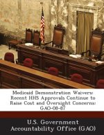 Medicaid Demonstration Waivers