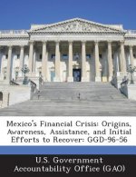 Mexico's Financial Crisis