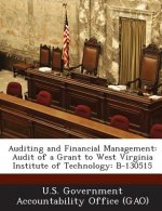Auditing and Financial Management