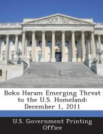 Boko Haram Emerging Threat to the U.S. Homeland