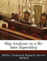 Slip Analysis in a Ni-Base Superalloy