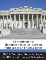 Computational Nanomechanics of Carbon Nanotubes and Composites