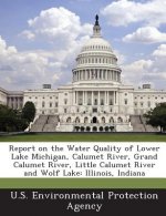Report on the Water Quality of Lower Lake Michigan, Calumet River, Grand Calumet River, Little Calumet River and Wolf Lake