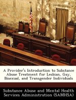 Provider's Introduction to Substance Abuse Treatment for Lesbian, Gay, Bisexual, and Transgender Individuals