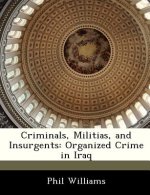 Criminals, Militias, and Insurgents