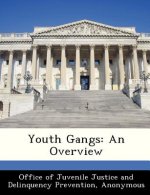 Youth Gangs