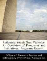 Reducing Youth Gun Violence