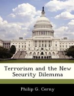 Terrorism and the New Security Dilemma