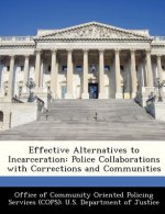 Effective Alternatives to Incarceration