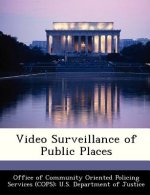 Video Surveillance of Public Places