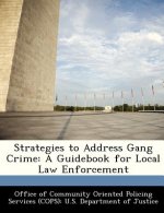 Strategies to Address Gang Crime