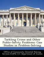 Tackling Crime and Other Public-Safety Problems