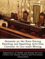 Demands on the Knee During Kneeling and Squatting Activities Common to Low-Seam Mining