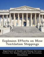 Explosion Effects on Mine Ventilation Stoppings