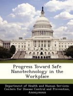 Progress Toward Safe Nanotechnology in the Workplace