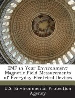 Emf in Your Environment