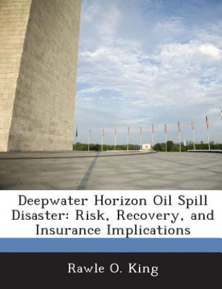 Deepwater Horizon Oil Spill Disaster