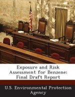 Exposure and Risk Assessment for Benzene