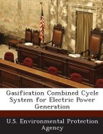 Gasification Combined Cycle System for Electric Power Generation