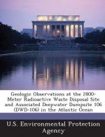 Geologic Observations at the 2800-Meter Radioactive Waste Disposal Site and Associated Deepwater Dumpsite 106 (Dwd-106) in the Atlantic Ocean