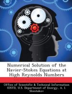 Numerical Solution of the Navier-Stokes Equations at High Reynolds Numbers