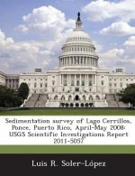 Sedimentation Survey of Lago Cerrillos, Ponce, Puerto Rico, April-May 2008