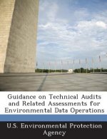 Guidance on Technical Audits and Related Assessments for Environmental Data Operations