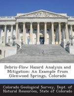 Debris-Flow Hazard Analysis and Mitigation