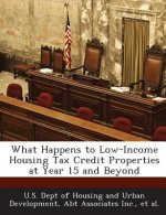 What Happens to Low-Income Housing Tax Credit Properties at Year 15 and Beyond