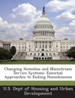 Changing Homeless and Mainstream Service Systems